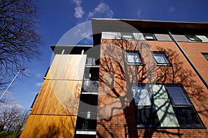 Modern Residential apartment building in Sunlight with shadow of large tree