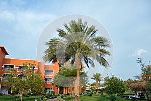 Modern resort hotel in tropical country, palm tree against blue sky. Tourism and recreation