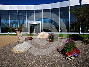 Modern resort with olive trees and flowers