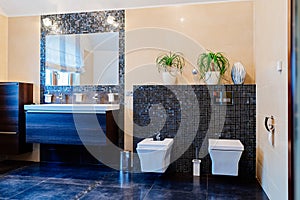Modern restroom with lavatory and bidet