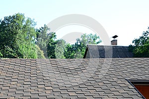 Modern roofing and decoration of chimneys. Flexible bitumen or slate shingles