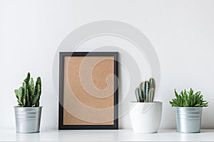 Modern room decoration. Various cactus and succulent plants. Mock-up with a black frame.