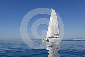 Modern sailing catamaran in action