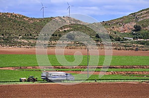 Modern Salad Harvesting