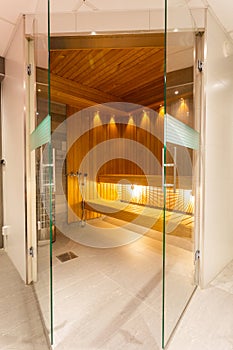 Modern Sauna interior