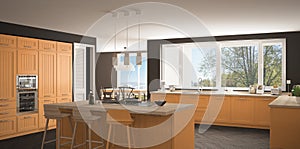 Modern scandinavia kitchen with big windows, panorama classic gr