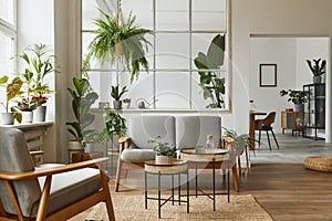 Modern scandinavian interior of living room with design grey sofa, armchair, a lot of plants, coffee table, carpet.