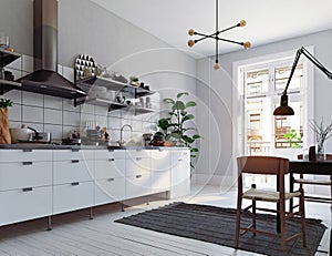 modern scandinavian style kitchen interior.
