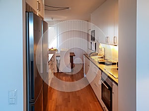 Modern scandivanian home interior kitchen with new applicances photo