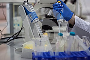 Modern scientist working in biotechnological laboratory