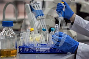 Modern scientist working in biotechnological laboratory