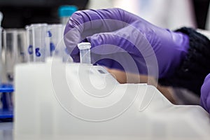 Modern scientist working in biotechnological laboratory equipment for research with pipettes and blue and yellow colorful test tu