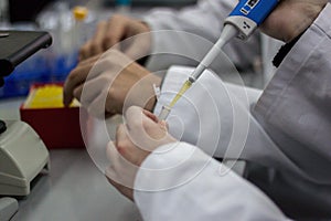 Modern scientist working in biotechnological laboratory equipment for research with pipettes and blue and yellow colorful test tu