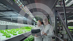 Modern scientists are engaged in genetic engineering in the modern production of vegitarian products. Modern farm for