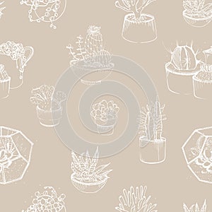 Modern seamless pattern with succulent outlines hand drawn on gray background. Desert plants growing in clay pots and