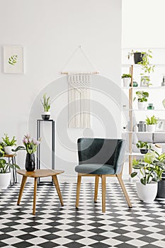 Modern seat and retro coffee table on a checkered floor in a botanical living room interior. Real photo