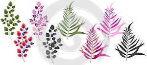 Modern set of abstract plant elements, minimal design, various styles, vector illustration