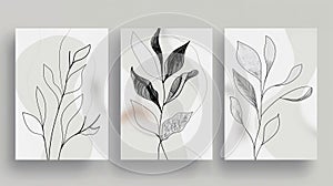 Modern set of botanical wall art. Line art drawing with abstract shape. Abstract Plant Art design for wall framed prints