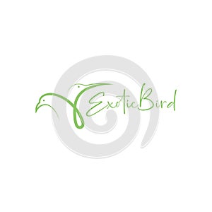 Modern shape bird exotic beauty line logo symbol icon vector graphic design illustration idea creative