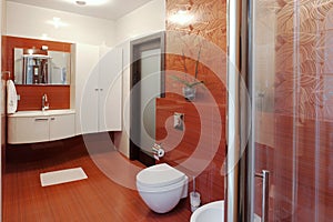 Modern shower cabin and bidet