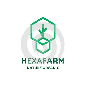 Modern simple hexagon farm logo template