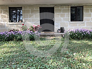 Modern simple house and door view in greenery.