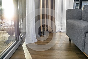 Modern and simple living room in the house with large patio windows and double curtains, a visible gray sofa and a small lantern.