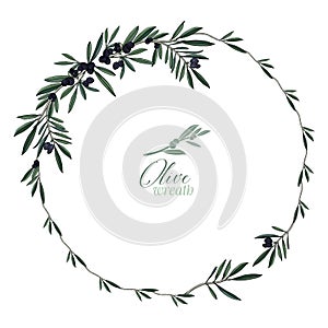 Modern Sketched Wreath Olive Vector Set
