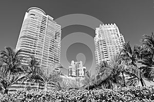 Modern skyscrapers on blue sky with palms and hedge bottom view in South Beach, USA.