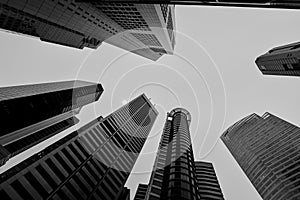 Modern skyscrapers in the financial district seen from below.Black and White