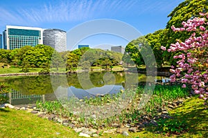 Shiodome buildings of Hamarikyu Gardens photo