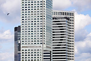 Modern skyscrapers in Warsaw downtown