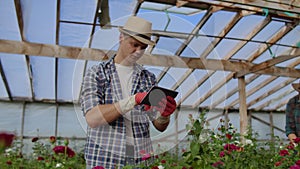 Modern small flower growing business. Colleagues florists work together with tablet computers in a greenhouse. 2 modern