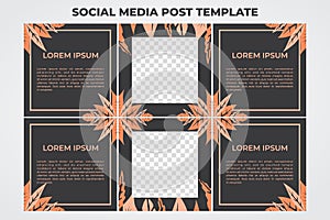 Modern social media post feed, Background template with copy space for text and images with floral and leaves vector illustration