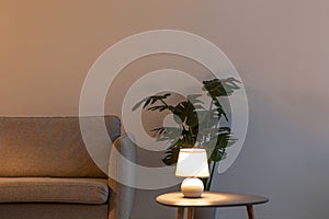 Modern sofa, glowing lamp on table in evening, plant in pot on floor on gray wall background in living room