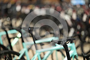 Modern sports bicycle saddles in shop. Rows of various sports bikes in bicycle shop