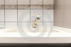 Modern srink, close up