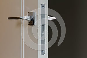 Modern stainless steel door handle on white wooden doors