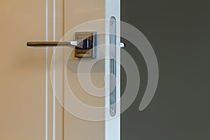 Modern stainless steel door handle on white wooden doors