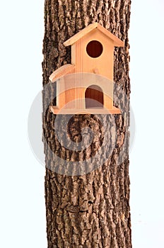 Modern starling-house on tree trunk isolated