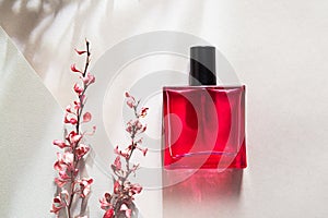 Modern still life with perfume and pink dry branch of barberry on gray background with long shadows