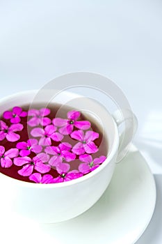 Modern still life with pink flowersin cup of tea on white background, copy space. Holiday or wedding background