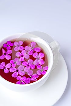 Modern still life with pink flowersin cup of tea on white background, copy space. Holiday or wedding background