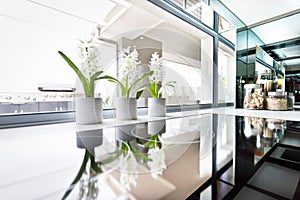 Modern stove close up beside the window and flowering plant