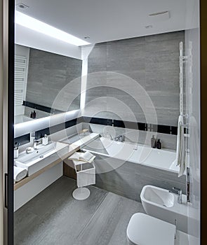 Modern style bathroom photo