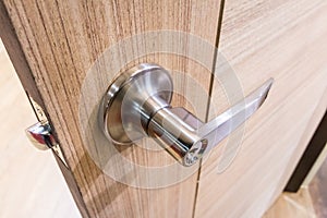 Modern style door handle