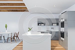 Modern style kitchen interior