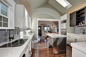 Modern style kitchen interior with brown and white cabinets
