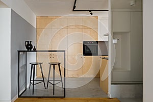 Modern style kitchen with plywood cupboards