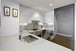 Modern style kitchen with wood paneled refrigerator.